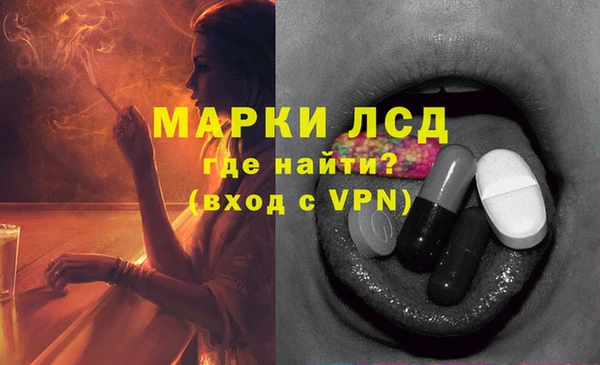 ПСИЛОЦИБИНОВЫЕ ГРИБЫ Богородск